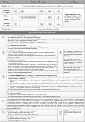 Feasibility and Preliminary Effects of the BESMILE-HF Program on Chronic Heart Failure Patients: A Pilot Randomized Controlled Trial